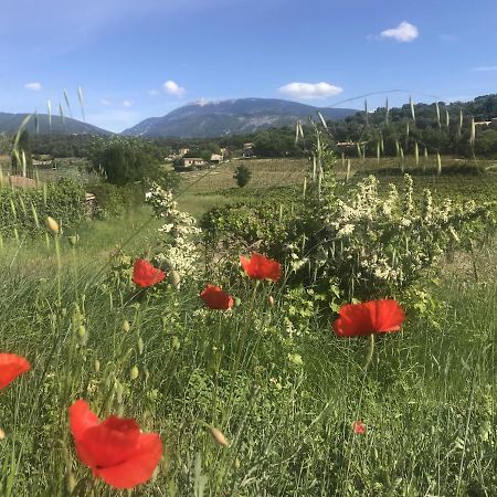 Le Mas De Colongene Faucon  Exteriér fotografie