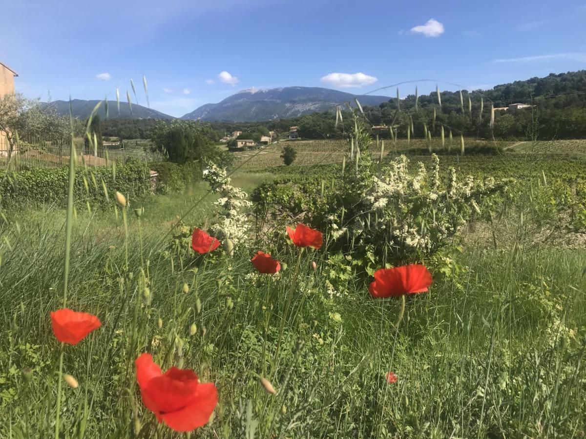 Le Mas De Colongene Faucon  Exteriér fotografie